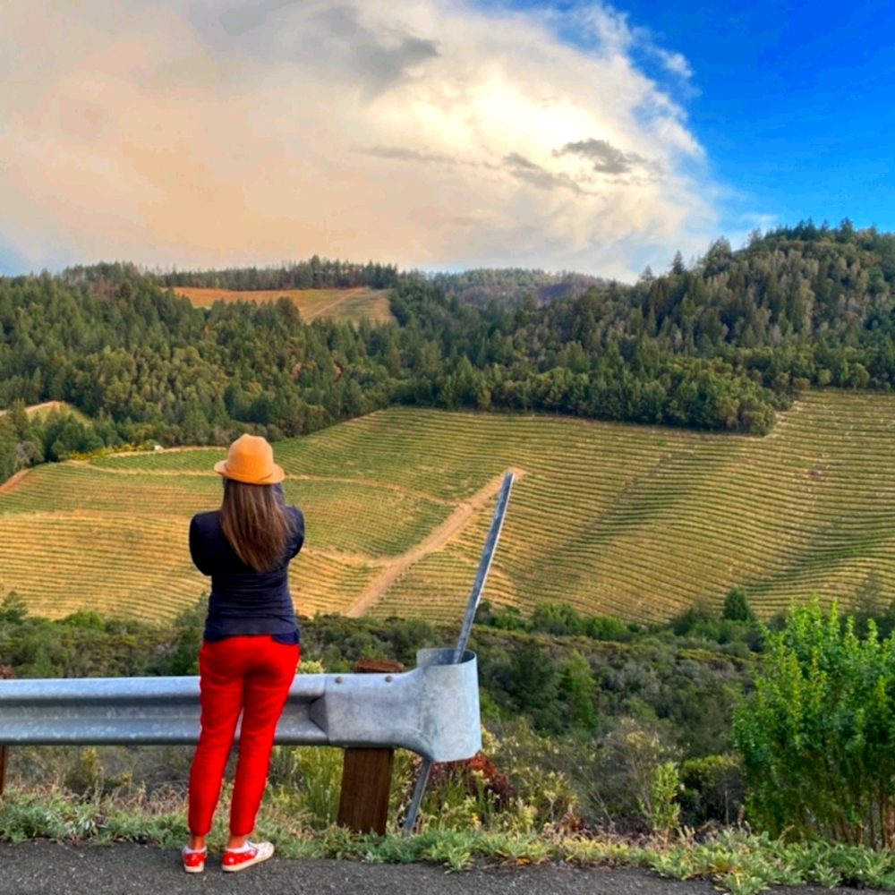 Meet your Posher, Sher